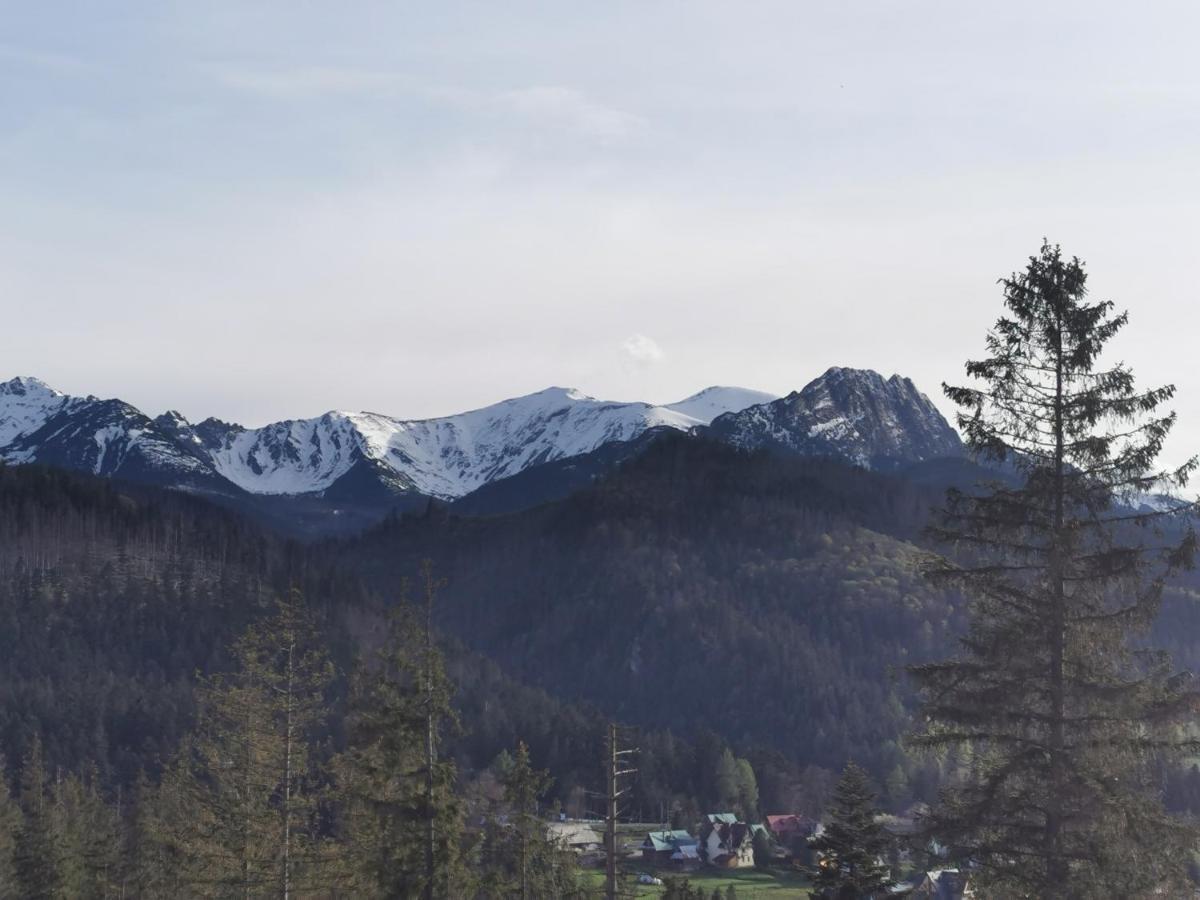 Apartament Z Kogutem Zakopane Exterior photo